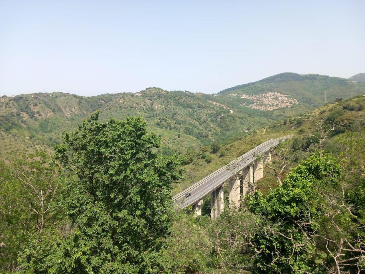 Piumahouse B&B Καταντζάρο Εξωτερικό φωτογραφία